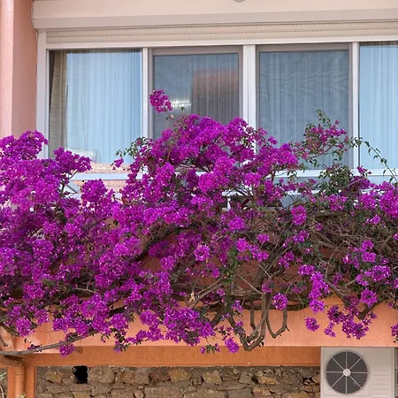 Duplex House On The Castle Road With A Seaview アランヤ